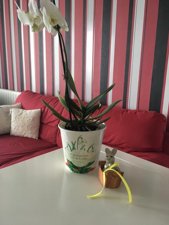 Apartament Dora City Apartament Kluż-Napoka Zewnętrze zdjęcie