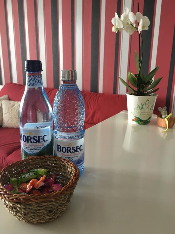 Apartament Dora City Apartament Kluż-Napoka Zewnętrze zdjęcie
