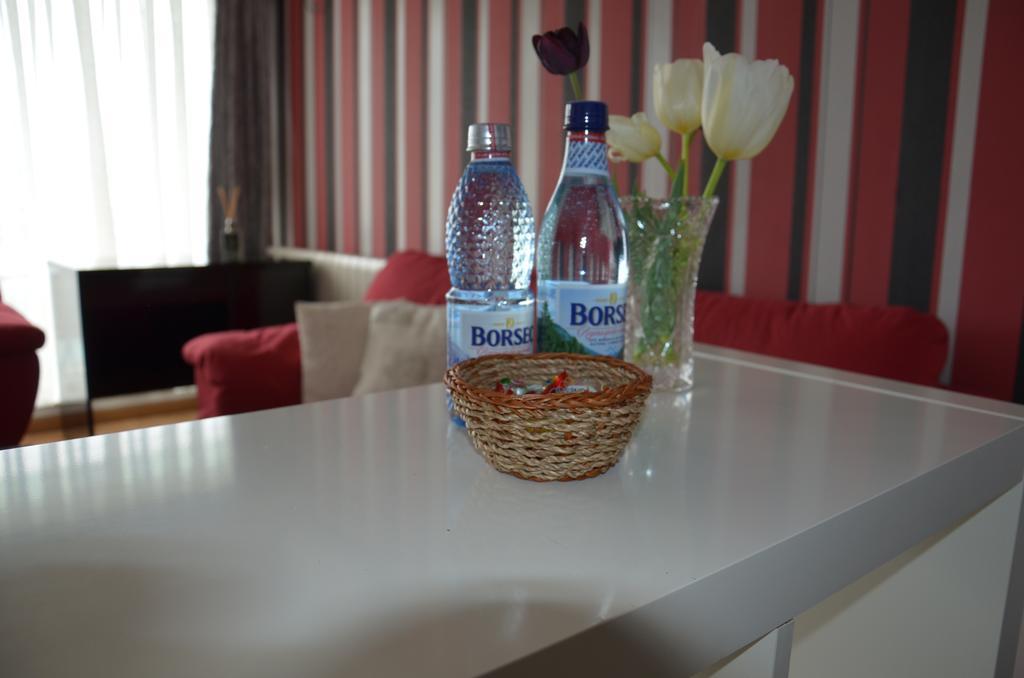 Apartament Dora City Apartament Kluż-Napoka Zewnętrze zdjęcie